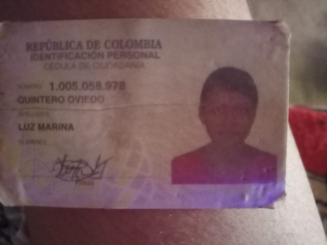 IMSALUD