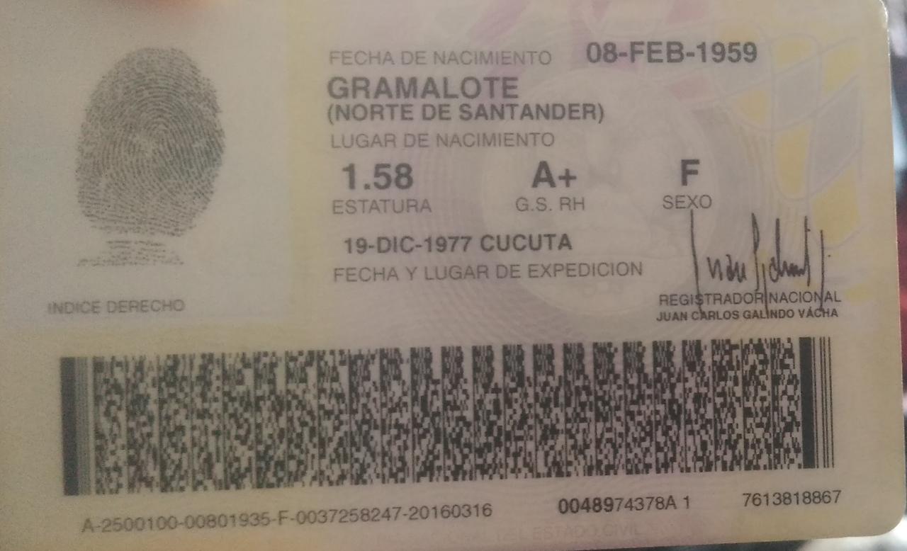 IMSALUD