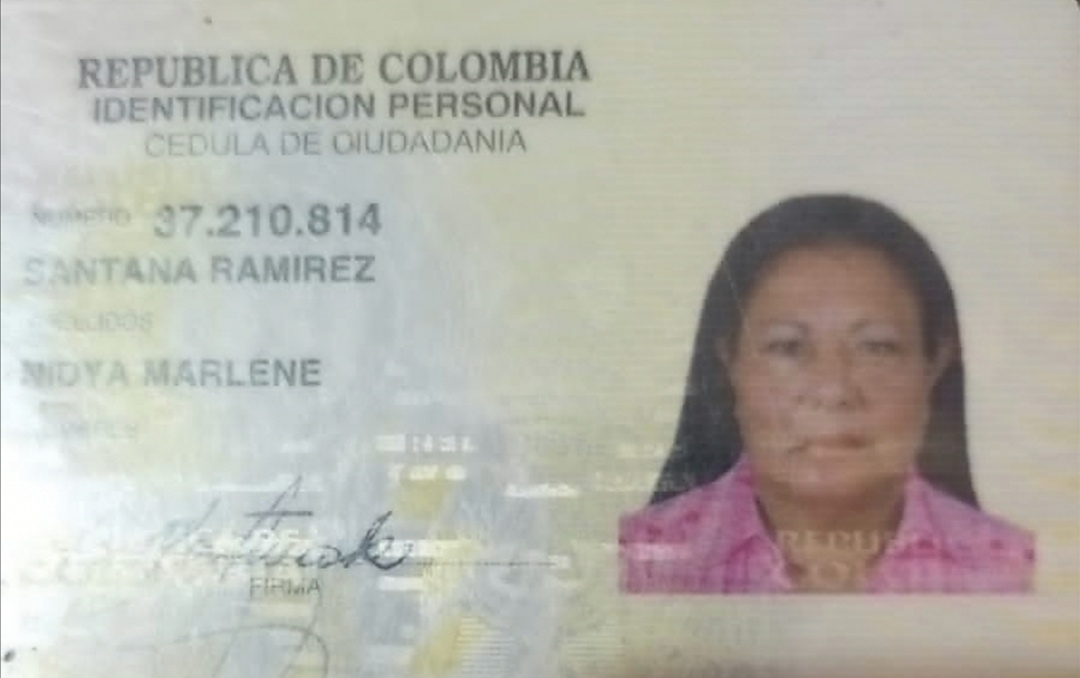 IMSALUD