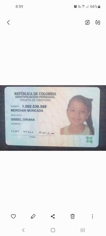 IMSALUD
