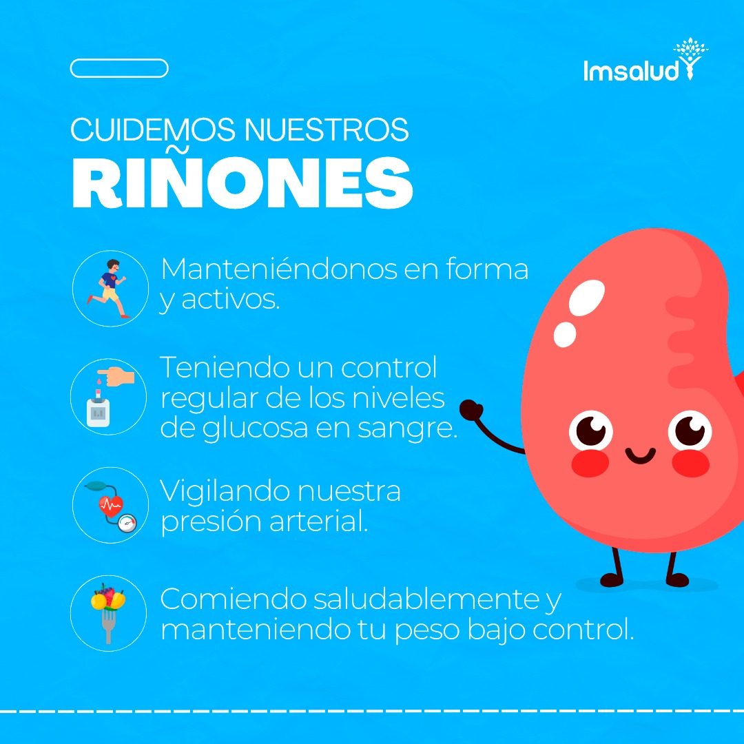 CUIDEMOS NUESTROS RIÑONES – IMSALUD
