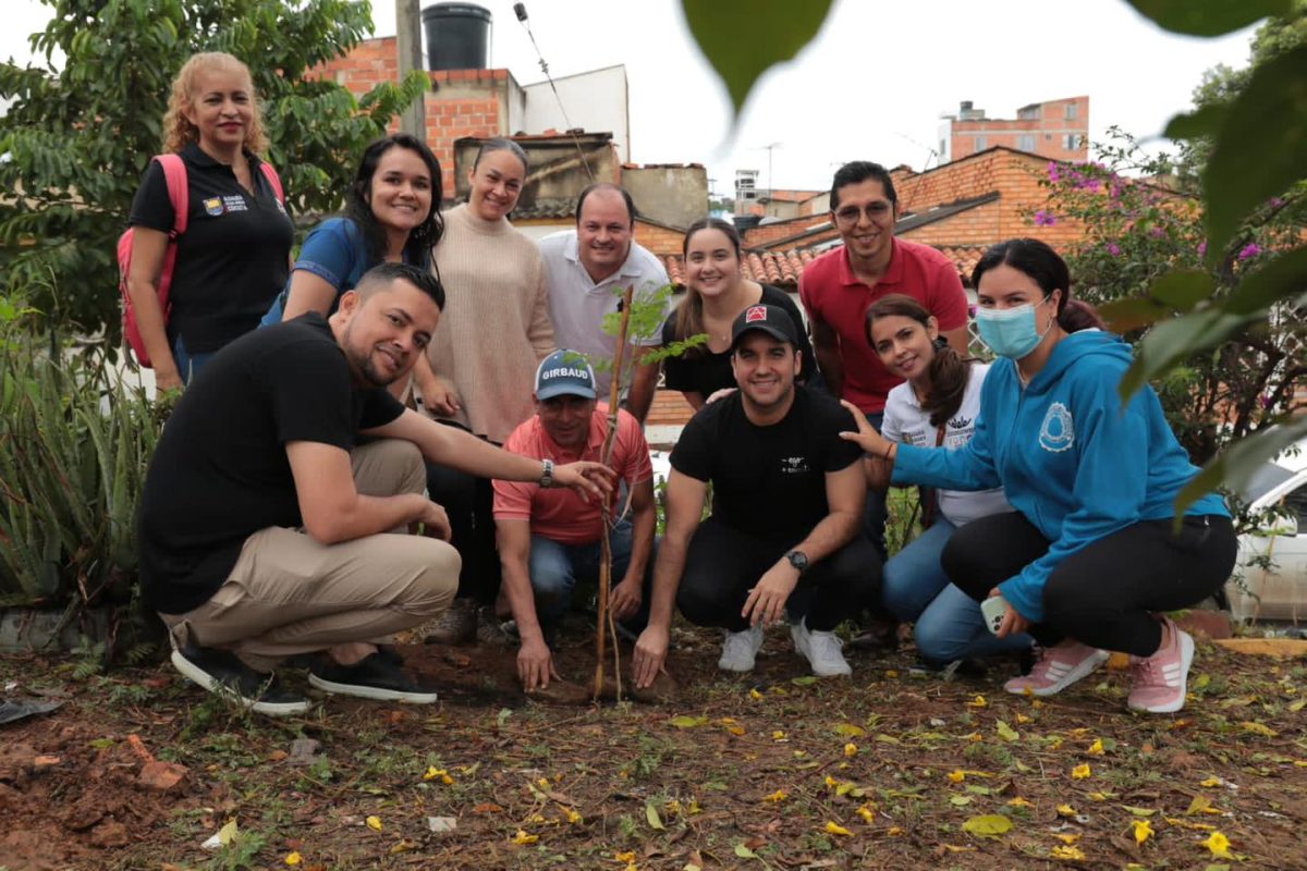 IMSALUD