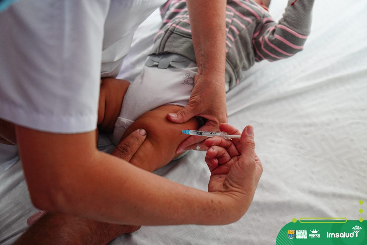 IMSALUD