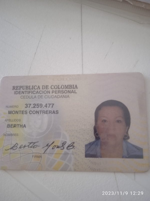 IMSALUD