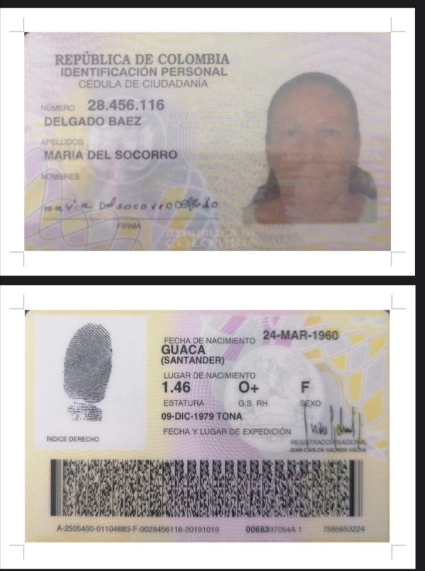 IMSALUD