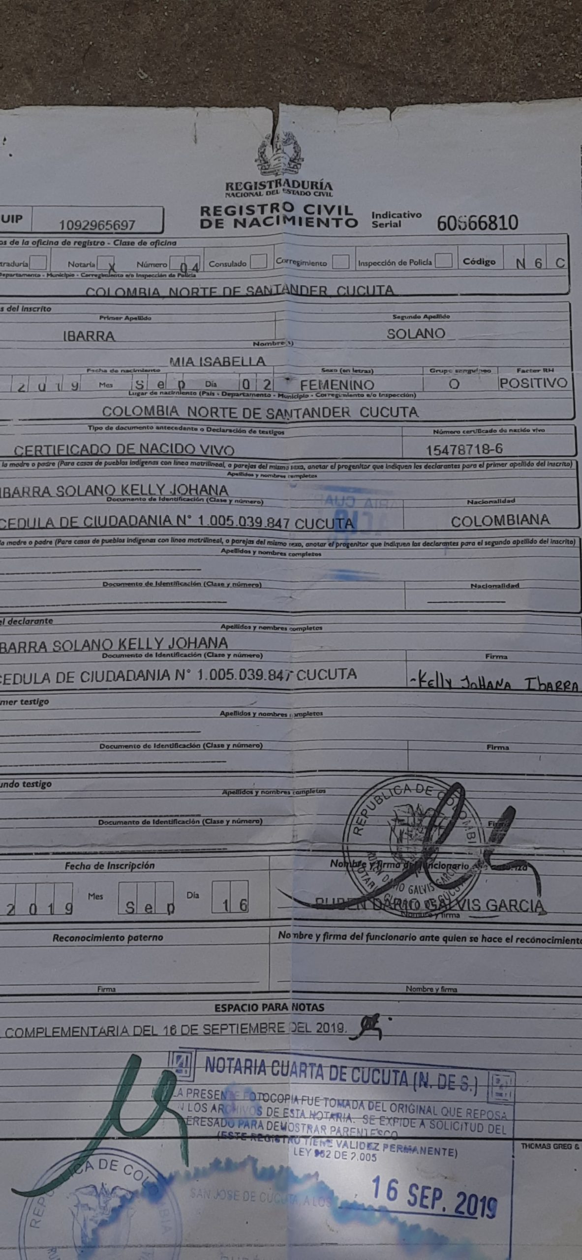 IMSALUD