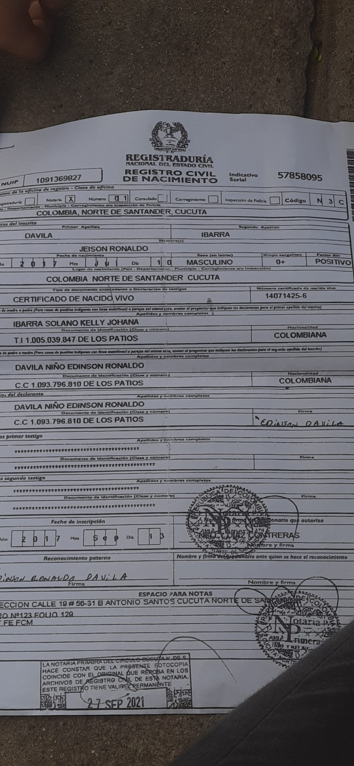 IMSALUD