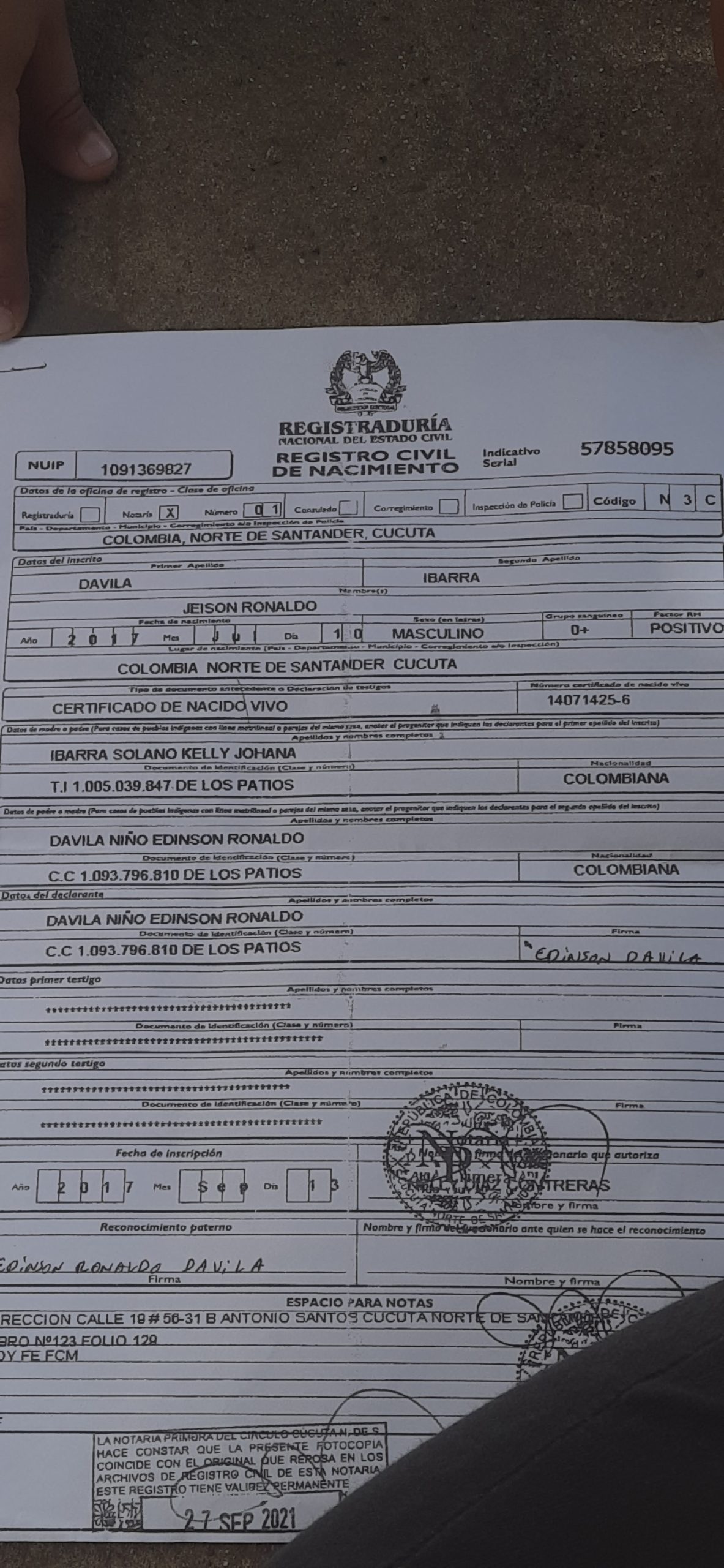 IMSALUD