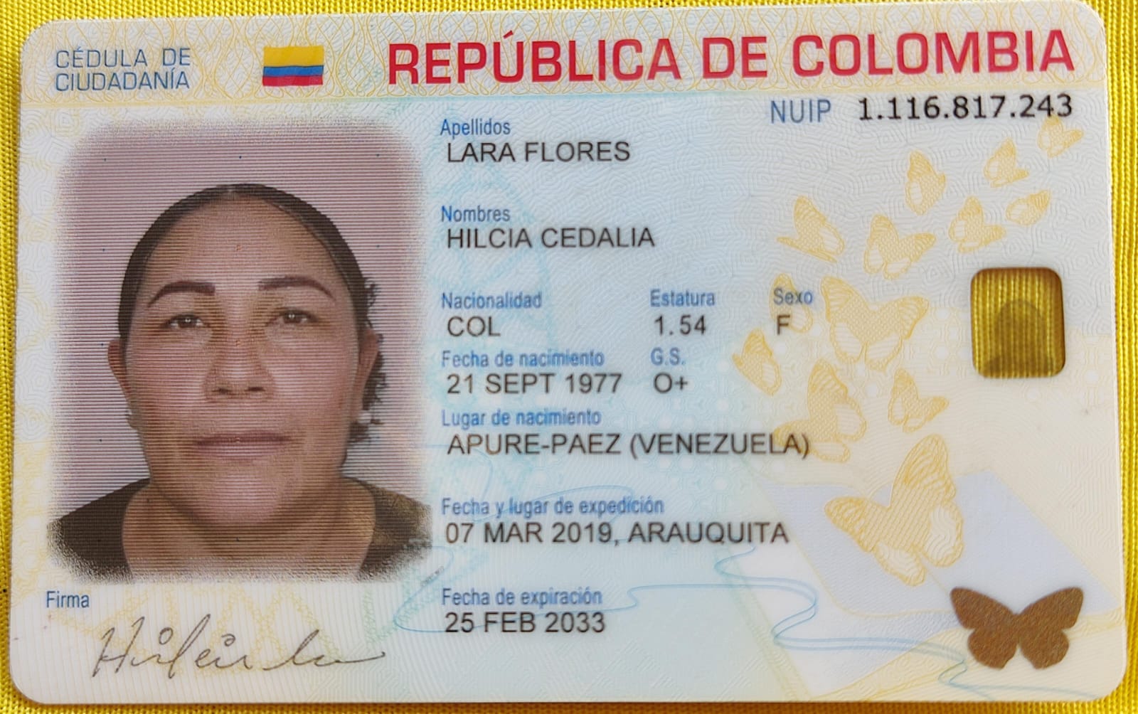 IMSALUD