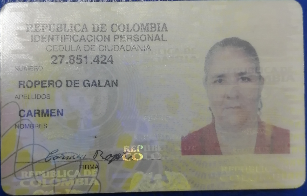 IMSALUD