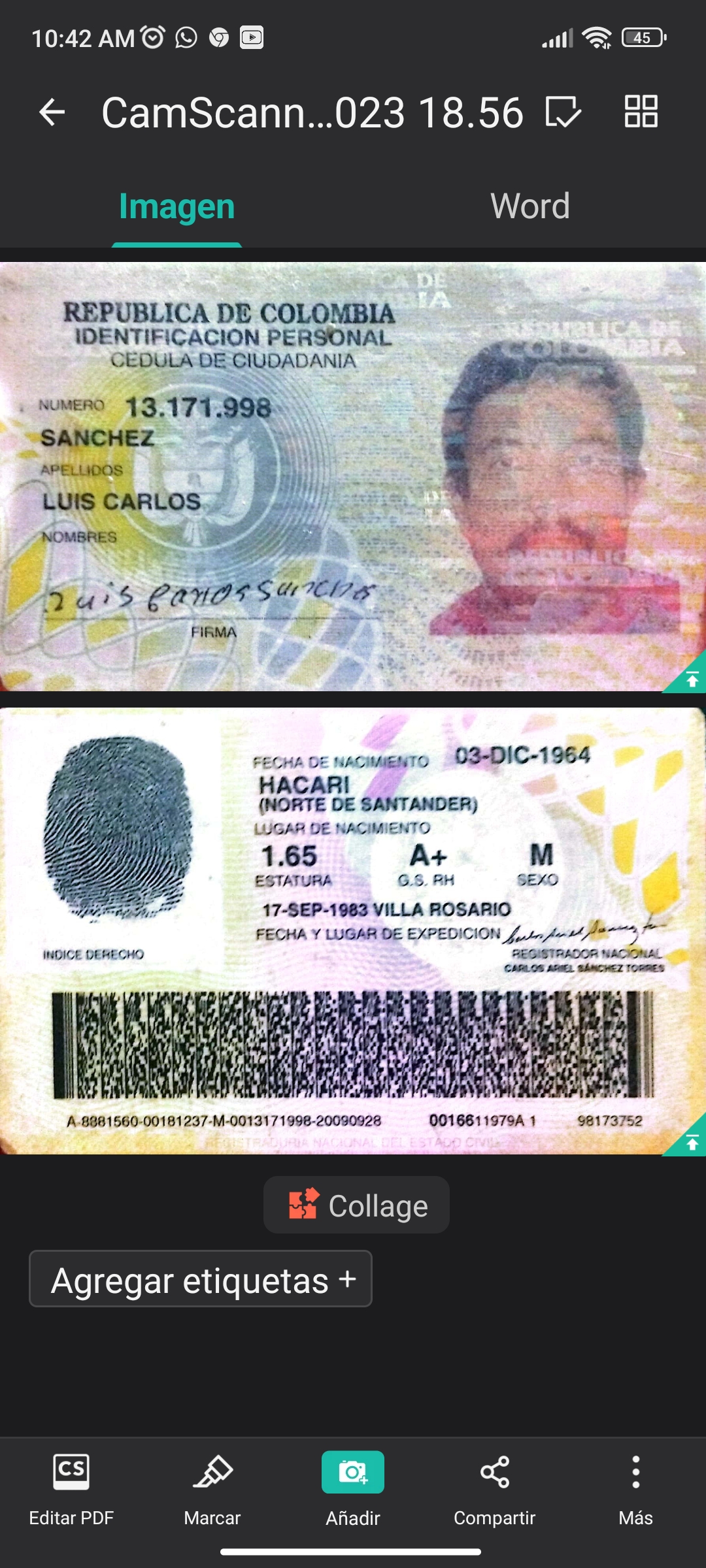 IMSALUD