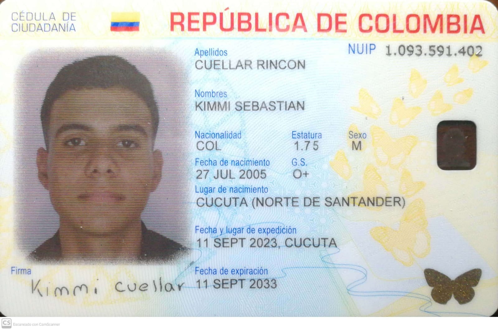 IMSALUD