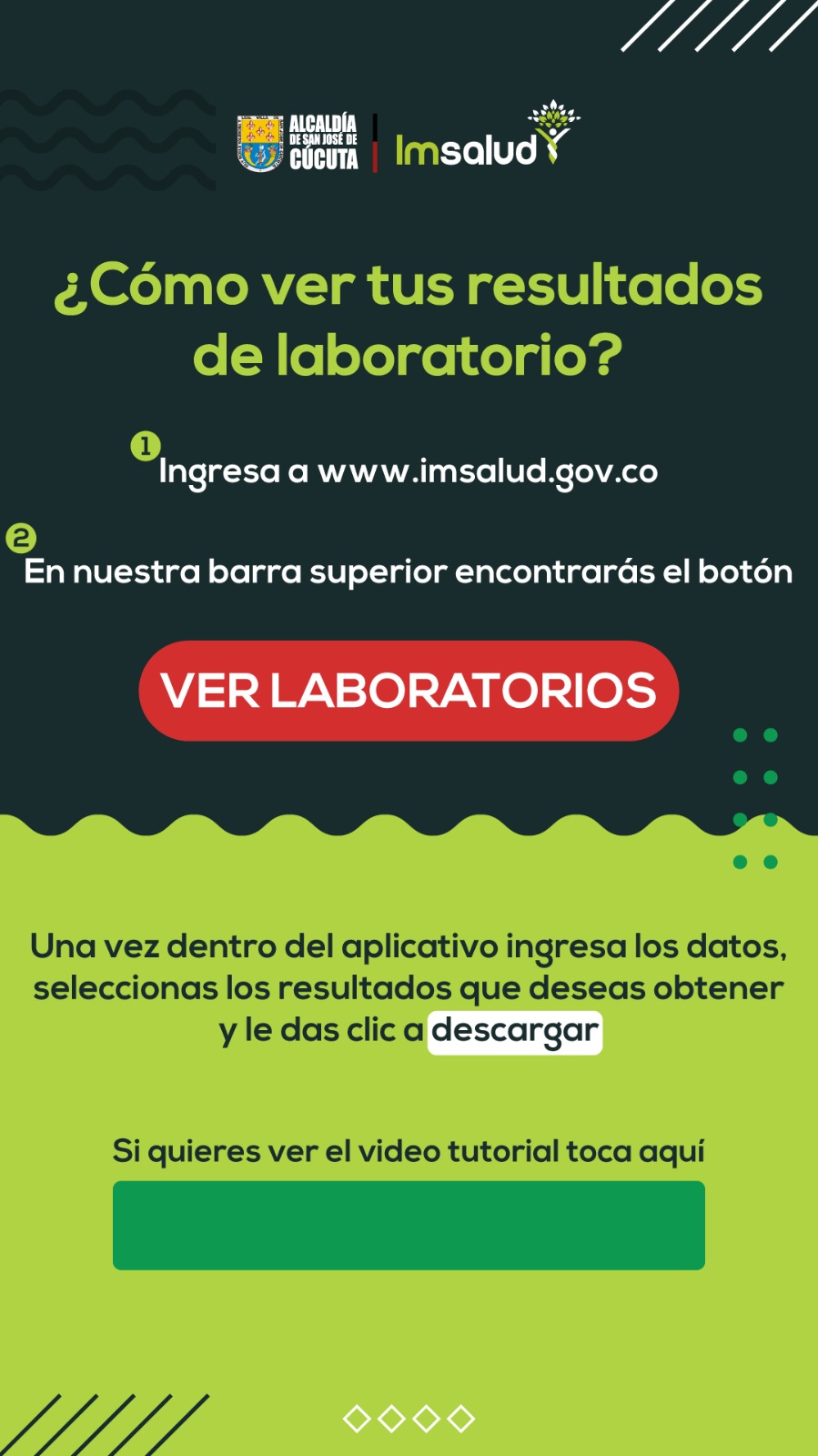 IMSALUD