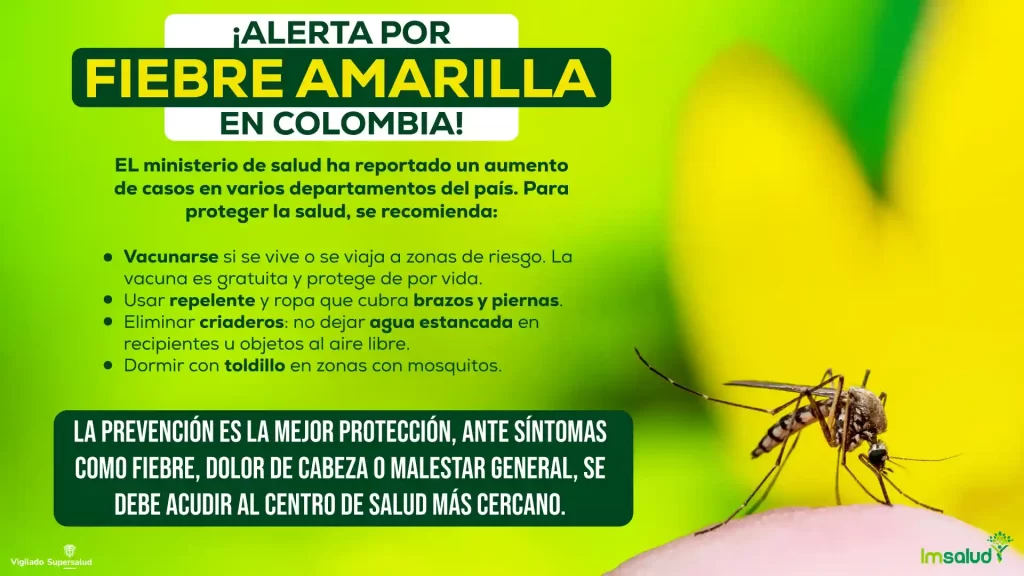 IMSALUD