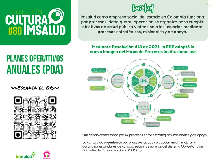 Boletín 80 - Planes Operativos Anuales (POA)